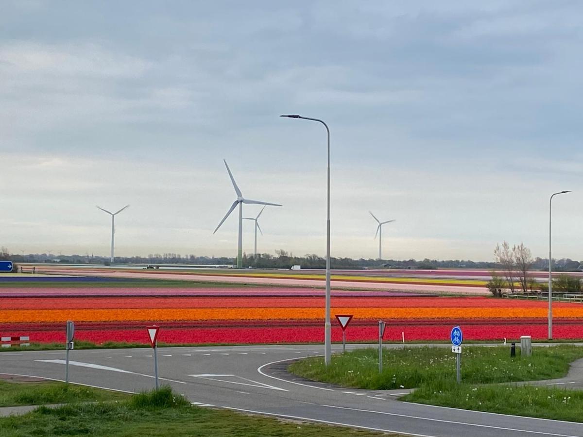 Zijperweg Vakantiehuis Vlakbij Zee, Strand En Bos Petten Zewnętrze zdjęcie